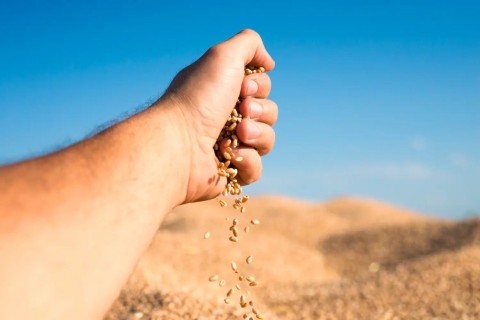 Operação do MP mira empresários do agro por sonegação de R$ 90 milhões em Goiás
